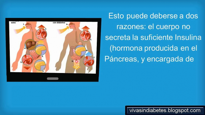 Diabetes Mellitus - Pathophysiology of Diabetes Mellitus