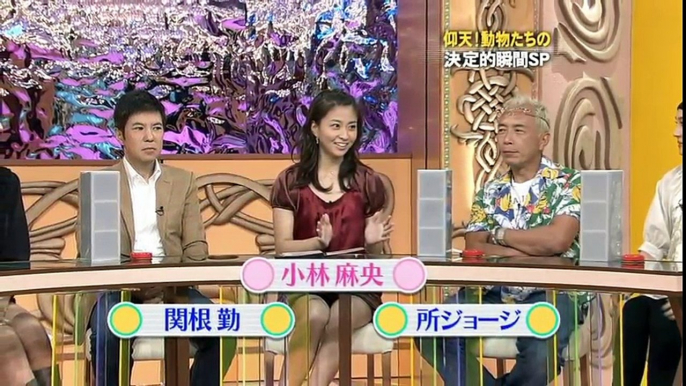 女子アナ　パンチラ画像　Japanese television　【放送事故】