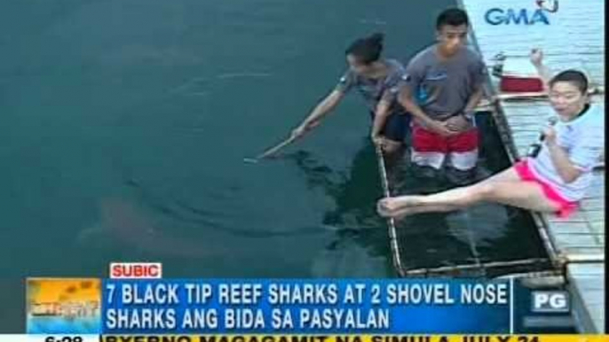 Fun and close encounter with friendly sea creatures in Subic | Unang Hirit