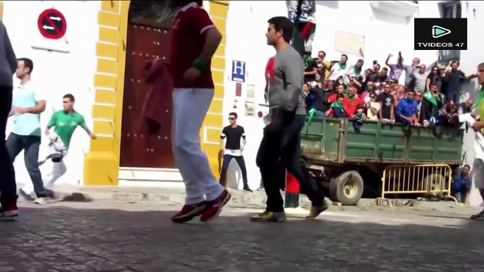 Bullfighting Festival #4 Best Funny Videos