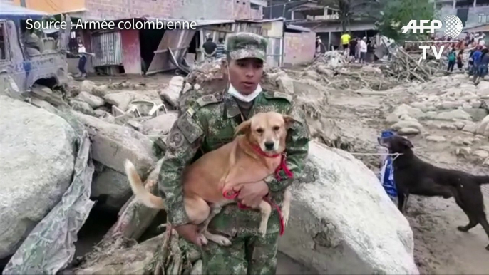 Colombie: des militaires à la rescousse des animaux abandonnés