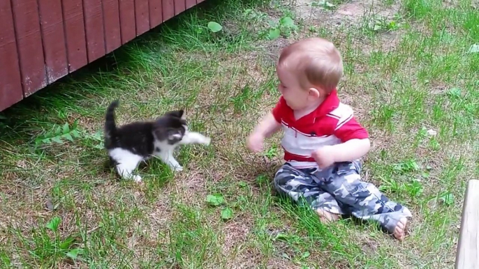 Quoi de plus mignon que des bébés et des chatons... Compilation