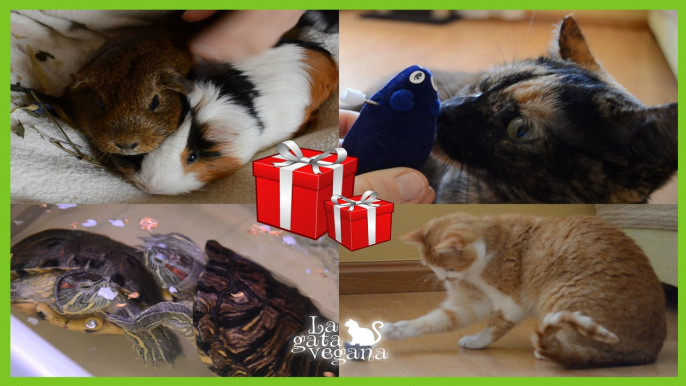 LOS ANIMALES "ABRIENDO" REGALOS DE NAVIDAD Y REYES | GATOS, COBAYAS Y TORTUGAS | REACCIONES REALES