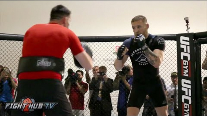 Conor McGregor looks sharp & powerful one week away from Nate Diaz rematch- UFC 202 video