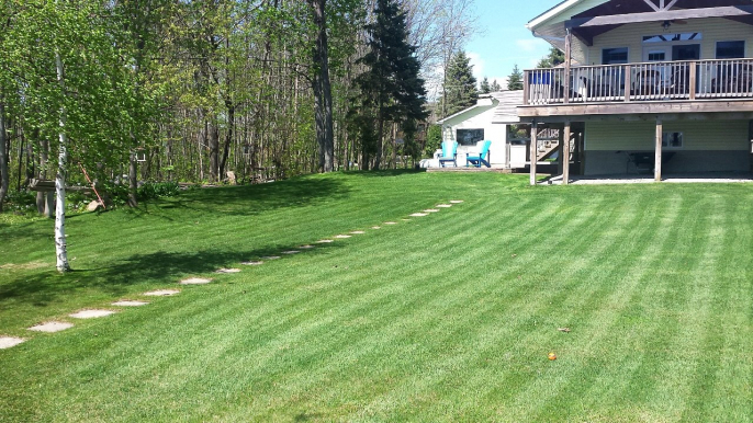 BDR Property and Fence Building: We Provide Quality Landscaping Services Across Simcoe County