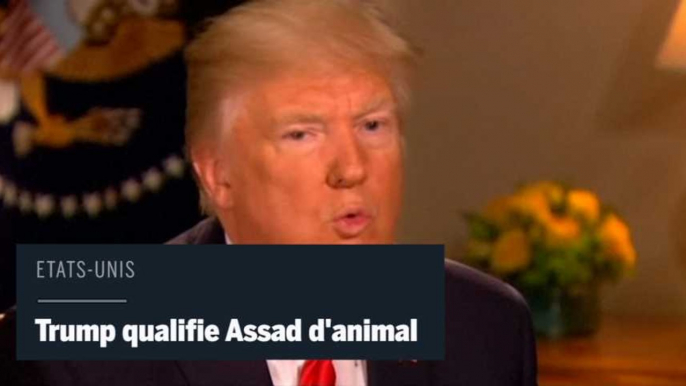 Syrie : Donald Trump traite Bachar Al-Assad d'"animal"