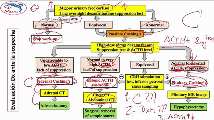 SD. Cushing, Insuficiencia suprarrenal e Hipertiroidismo