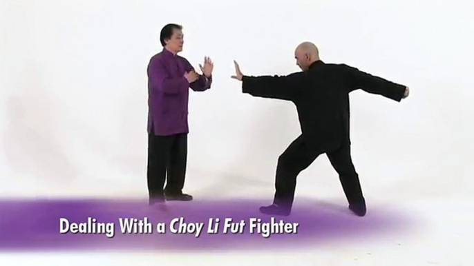 Wing Chun vs. Choy Lee Fut