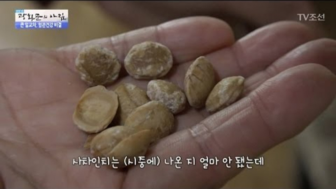 뇌경색을 극복하는 비결은?! [광화문의 아침] 453회 20170331