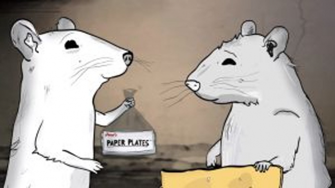 WatchOnline --Animals-- Season 2 Episode 6 //Episode Sixteen: Rats// Full Streaming