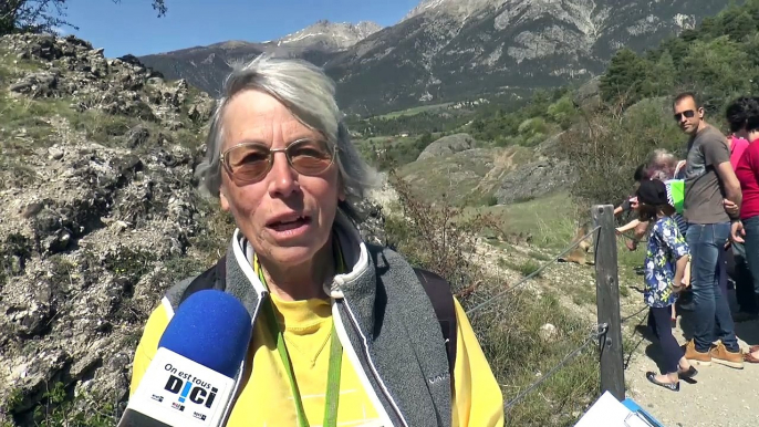 Hautes-Alpes : les marmottes pointent le bout de leur nez à Eygliers pour le comptage de printemps