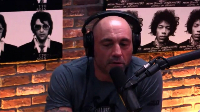 Joe Rogan- Holly Holm was Cheated at UFC 208 vs Germaine De Randamie - D