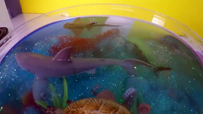 DIY SHARK Toys Slime Aquarium Fish Tank - Toy Sharks, Sea Animals, Toys and Slime _ Craft Videos-FGW