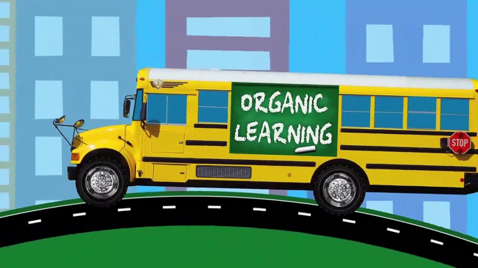 Big Rig Car Carrier Teaching Colors for Kids #1 Learning Colours Video for Children Organic