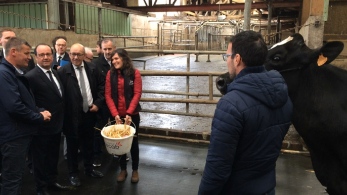 Francois Hollande visite un élevage