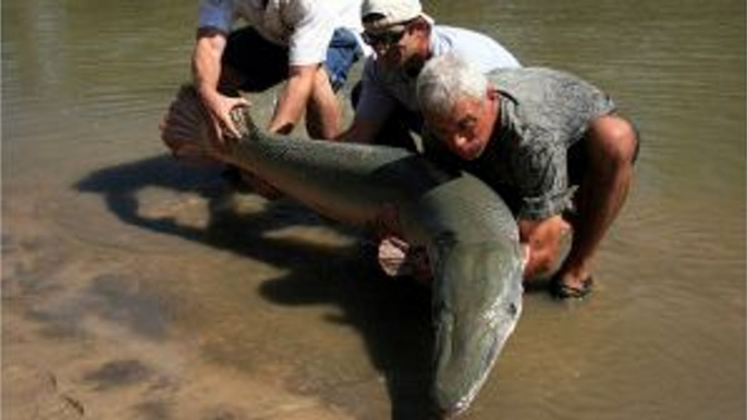 Streaming ~River Monsters Season 9 Episode 2 "Ice Cold Killer" FullSeries