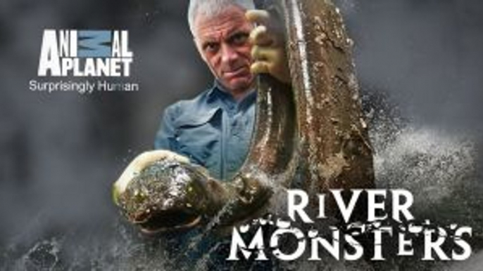 FullSeries "River Monsters" :::s9xe2::: [[ Ice Cold Killer ]] Streaming HQ Dailymation