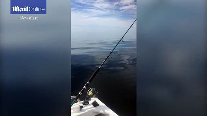 Terrifying moment a huge five-metre great white shark circles around a fishing boat as a father and son cower inside