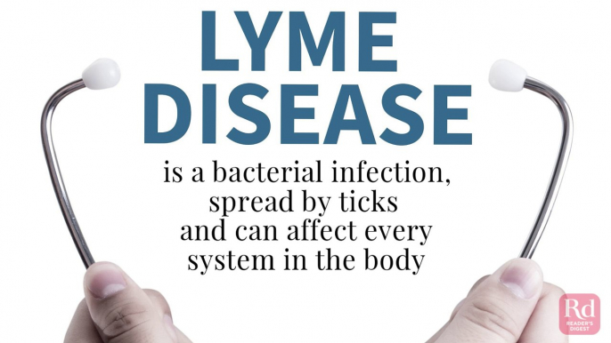 Signs You Could Have Lyme Disease