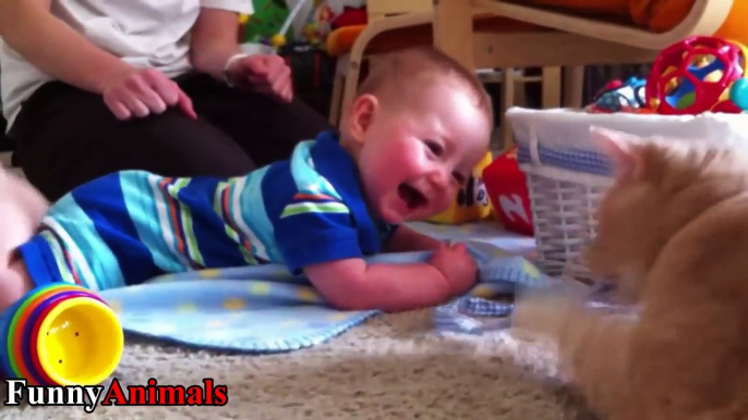 Funny Babies Laughing at Cats Compilation 2017 - Cats Loves Babies Video