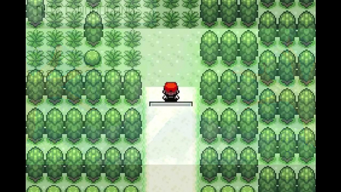 Detonado Pokémon Dark Rising (Parte 2) Munna e Cidade do Bug