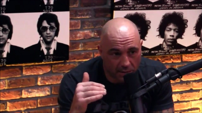 Joe Rogan and Gavin McInnes on Milo Yiannopoulos Controversy - Downlo