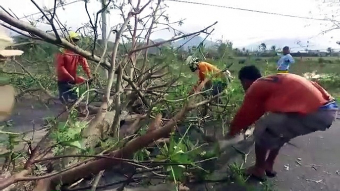 Christmas typhoon leaves