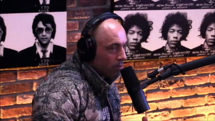 Joe Rogan on how to make MMA more Exciting - Download