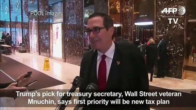 Trump picks Steven Mnur Treasury Secretar