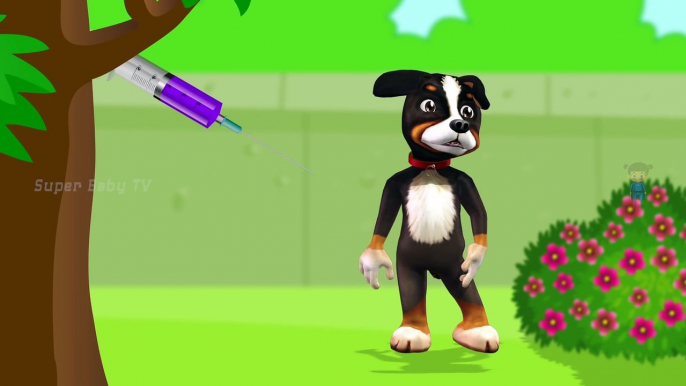 Funny Little Dog Injections in The Bottom - Learning Colors for Kids with 3D Dog_5