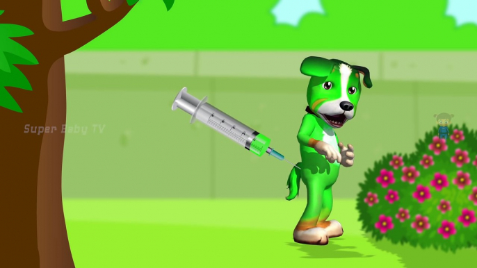 Funny Little Dog Injections in The Bottom - Learning Colors for Kids with 3D Dog_23