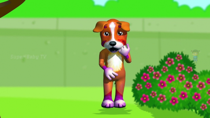 Funny Little Dog Injections in The Bottom - Learning Colors for Kids with 3D Dog_24