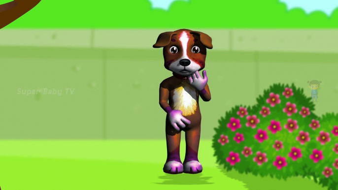 Funny Little Dog Injections in The Bottom - Learning Colors for Kids with 3D Dog_37