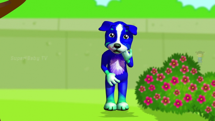 Funny Little Dog Injections in The Bottom - Learning Colors for Kids with 3D Dog_51