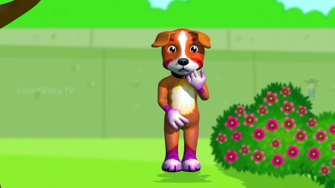 Funny Little Dog Injections in The Bottom - Learning Colors for Kids with 3D Dog_53