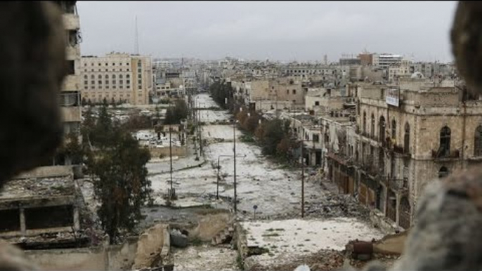 Russia, Syrian halt airstrikes in Aleppo ahead of humanitarian pause