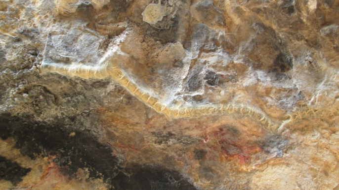 Cantera de Las Fuentes de Alcocebre (Cuevas y fósiles del cretácico).