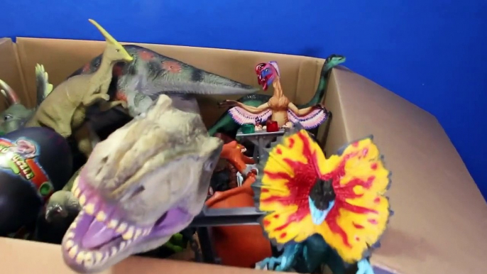 DINOSAURS What's in the Box Toy Dinosaur GIVEAWAY CONTEST Win Dinosaurs   Surprise Eggs Video-U8y