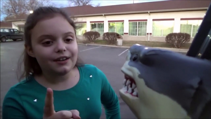 Feeding My Pet Shark McDonald's Chicken Nuggets Happy Meal Big Mac & Fries 'Toy Freaks'-kfB6L