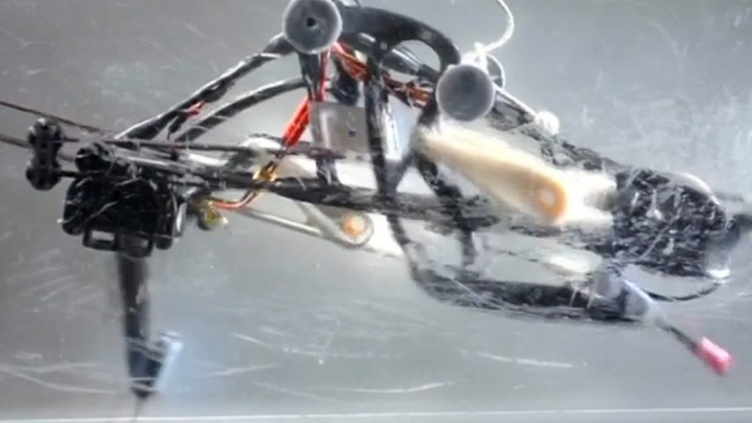 This ostrich-like machine is a balancing bot [Mic Archives]