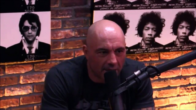 Joe Rogan and Gavin McInnes on Milo Yiannopoulos Cont