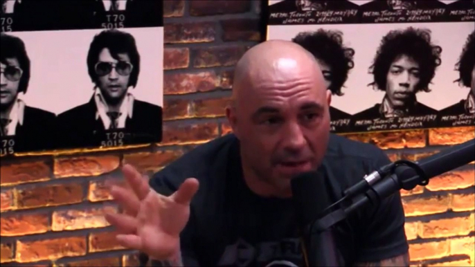 Joe Rogan and Gavin McInnes on Milo Yiannopoulos Controversy -