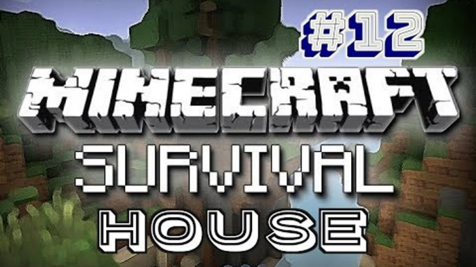 Minecraft Survival: "Construirea unui portal Nether" (Building a Nether portal) - part #12