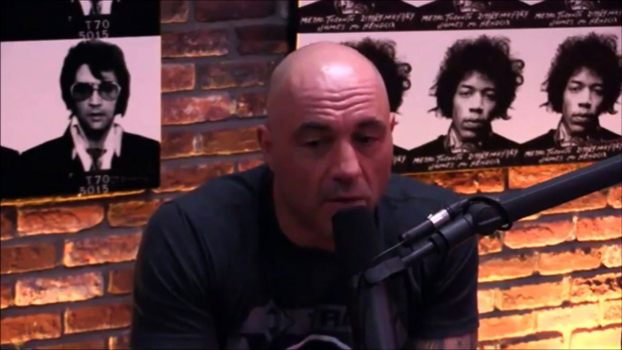 Joe Rogan and Gavin McInnes on Milo Yiannopoulos Contro