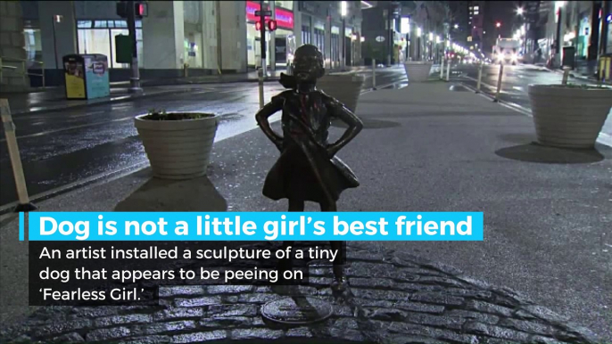 This dog peeing on 'Fearless Girl' is pissing people off