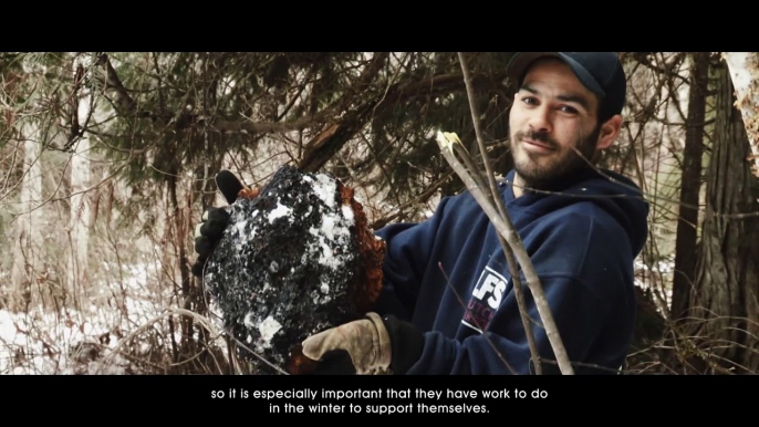 Chaga Mushrooms and The First Nations