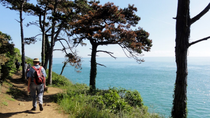 2017-06-01 Entre terre et mer à Cancale