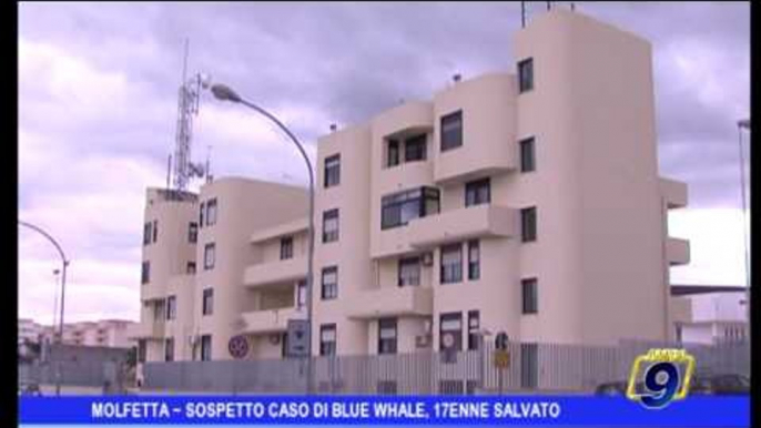 Molfetta |  Sospetto caso di "Blue Whale" : 17enne salvato dai carabinieri
