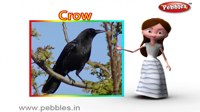 Crow | 3D animated nursery rhymes for kids with lyrics | popular Birds rhyme for kids | Crow song | bird songs | Funny rhymes for kids | cartoon | 3D animation | Top rhymes of bird for children