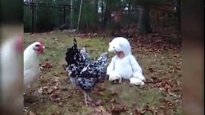 Baby in a Lamb Costume Confuses Chickens